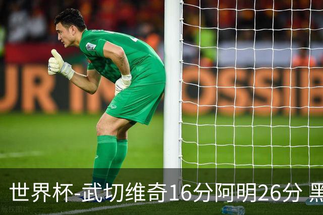 世界杯-武切维奇16分阿明26分 黑山大胜埃及