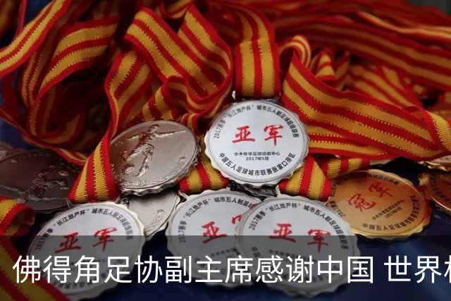 佛得角足协副主席感谢中国 世界杯后将安排与国足友谊赛